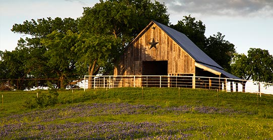Roadway near Rayford, Texas